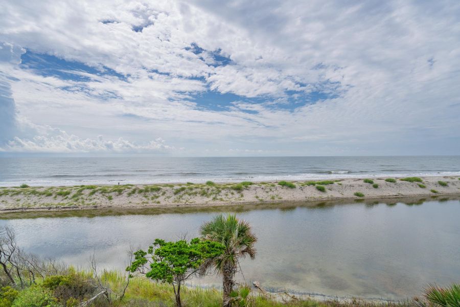 Natural landscape and outdoor views near  in Edisto Island (Image 70).