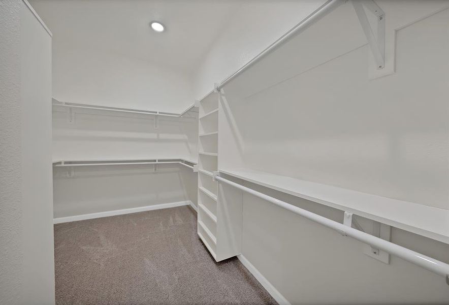 Spacious closet featuring carpet flooring