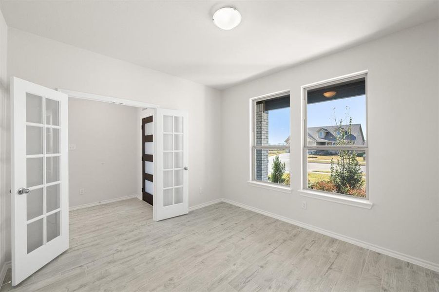 720 Scarlet Sage- Study