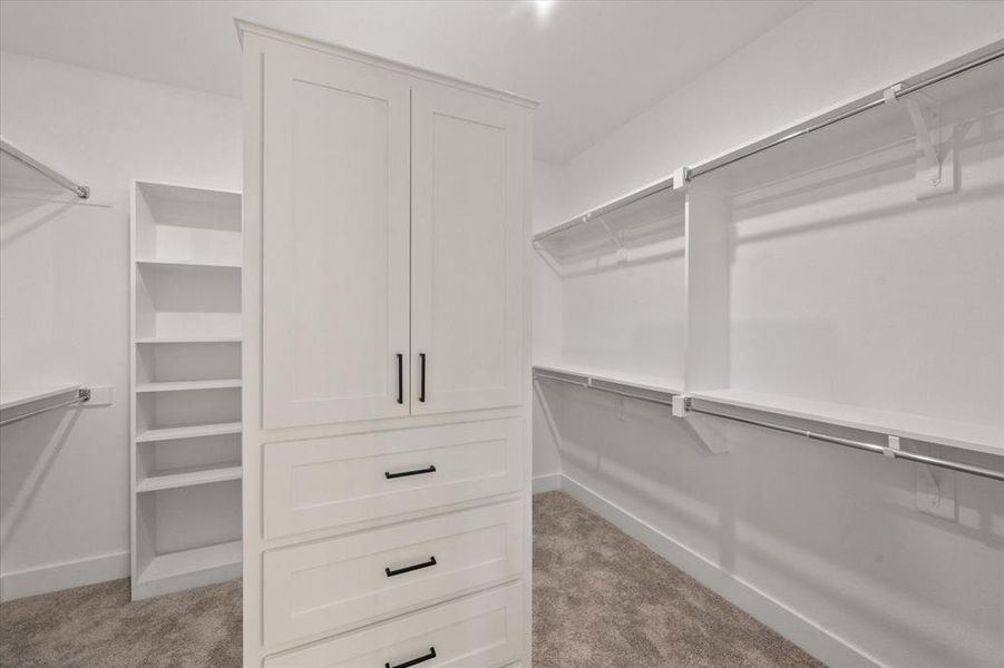 Spacious closet featuring light carpet