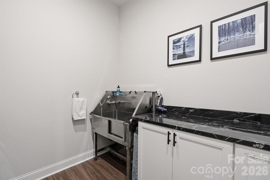 Dog Wash Station in Laundry