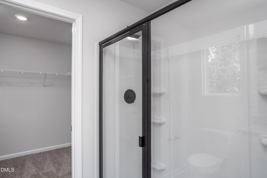 IMG_8014-Edit IMG_8014-Edit