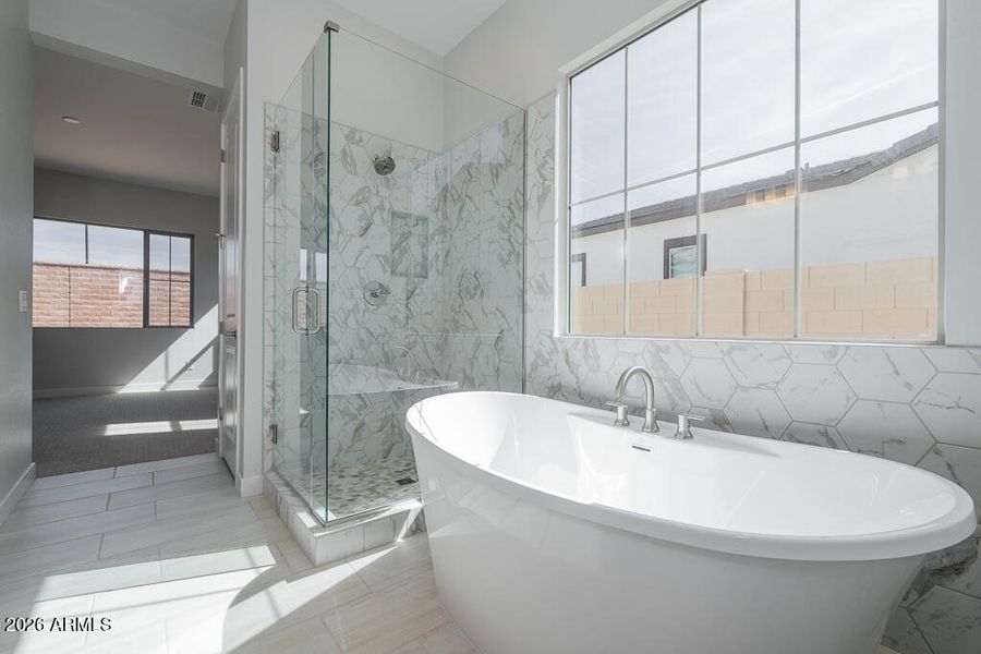 Tri Pointe Waterston Central 65 - Primar