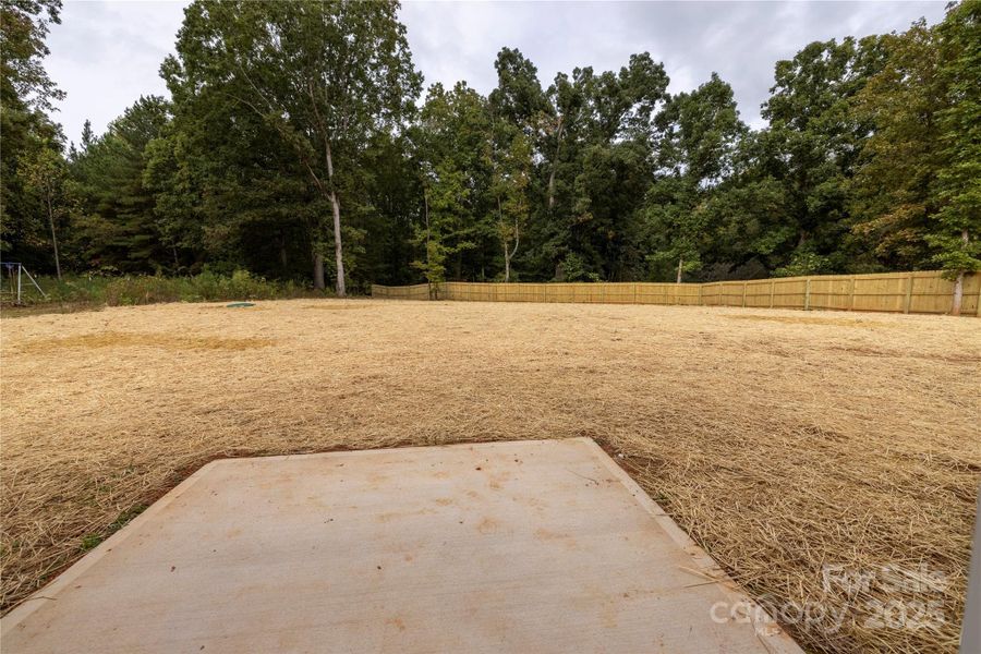 Patio & Fenced Backyard