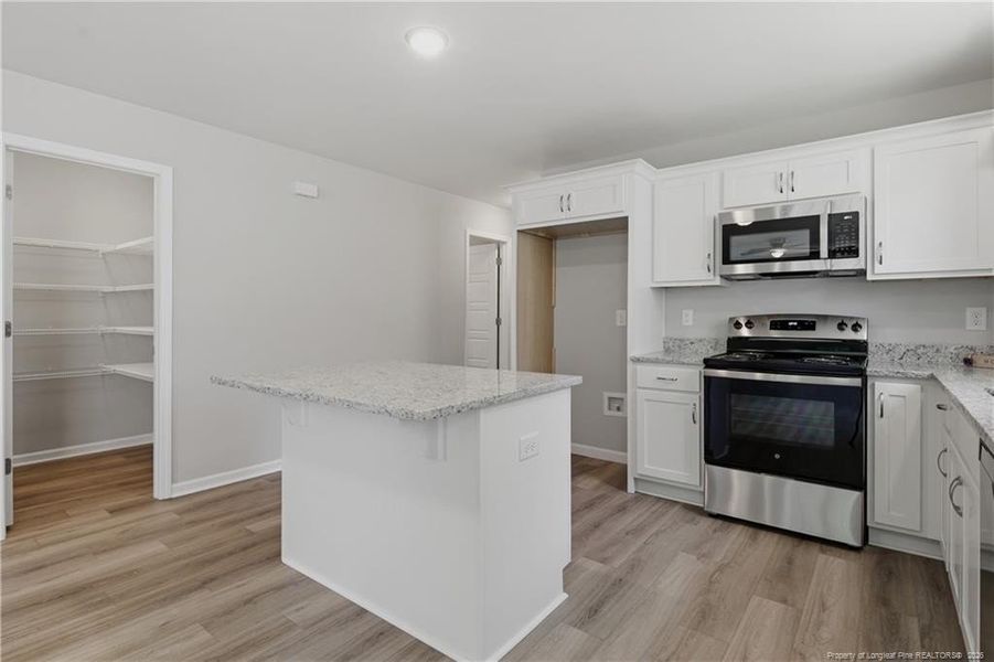 Pantry off of kitchen