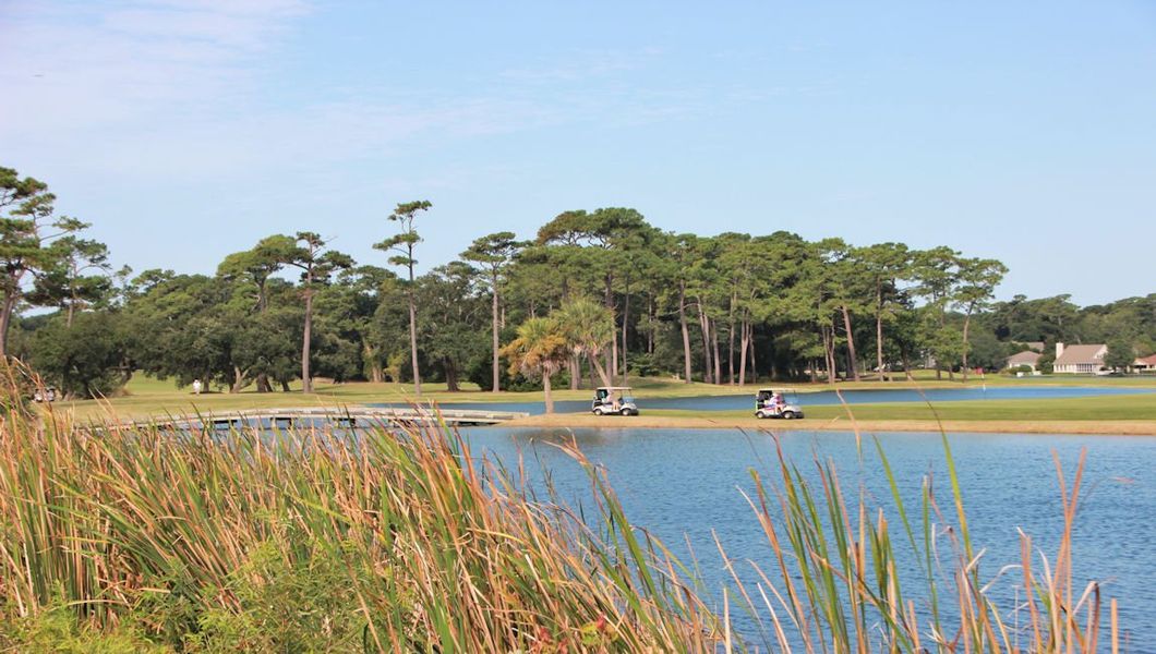 Natural landscape and outdoor views near Brunswick Plantation in Ash (Image 21).