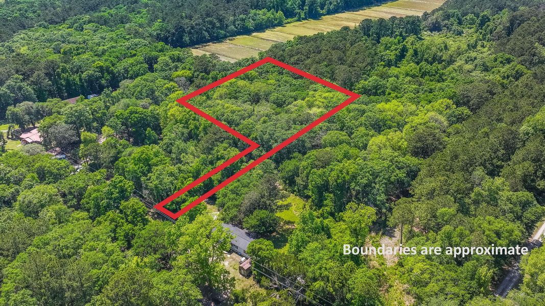 Site preparation for new homesites in , Edisto Island (Image 11).