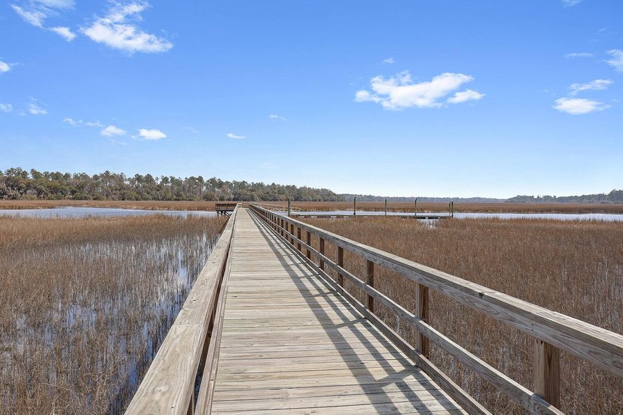 Natural landscape and outdoor views near Rivers Reach in Yemassee (Image 47). Natural landscape and outdoor views near Rivers Reach in Yemassee (Image 47).