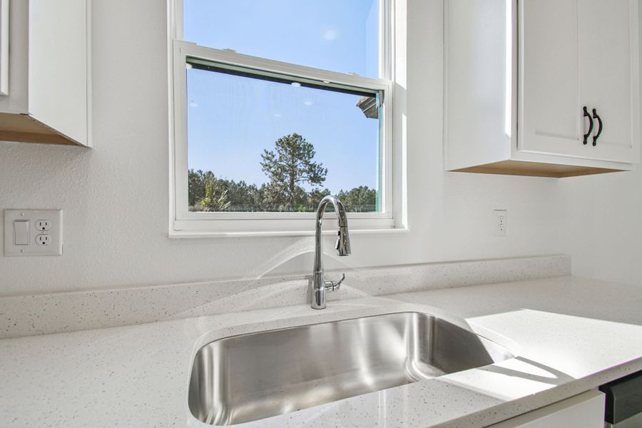 Representative interior finishes for a home built from the 50 ' - Saratoga by William Ryan Homes in Tamarack at Two Rivers, Zephyrhills (Image 20).