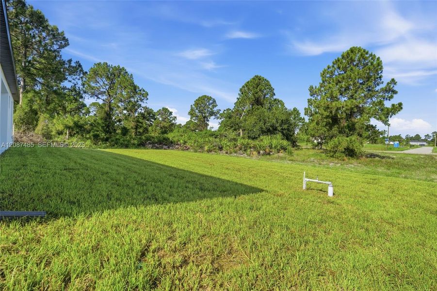 Natural landscape and outdoor views near in Lehigh Acres (Image 43). Natural landscape and outdoor views near in Lehigh Acres (Image 43).