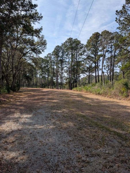 Natural landscape and outdoor views near  in Edisto Island (Image 60).