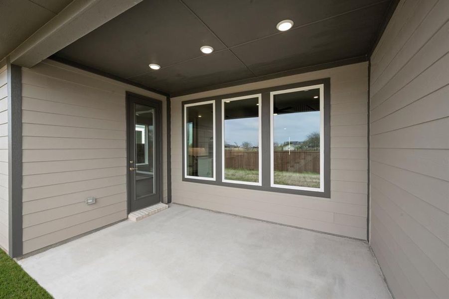 1721 Nesting Robin- Back-3