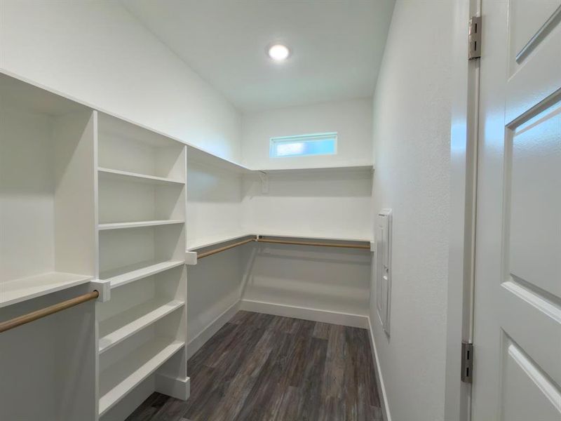 Walk-in closet featuring built-in shelving, hanging rods, wood-finish flooring, a recessed ceiling light, and a horizontal window providing natural light