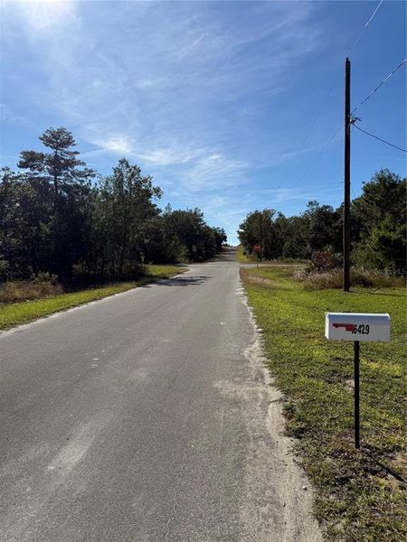 Natural landscape and outdoor views near  in Ocklawaha (Image 22).