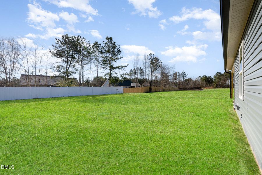 025_img_3620-edit-edit_918