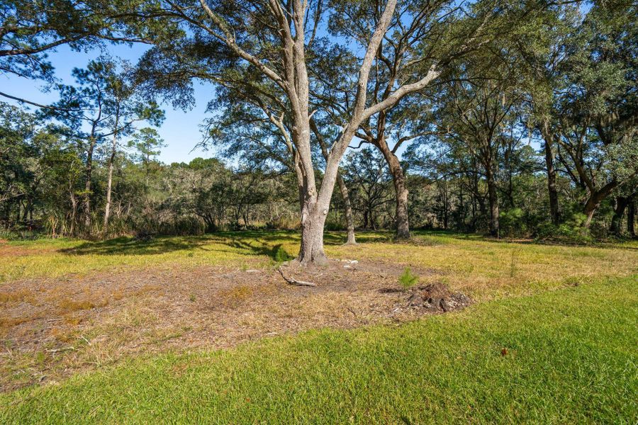 Natural landscape and outdoor views near  in Johns Island (Image 70).
