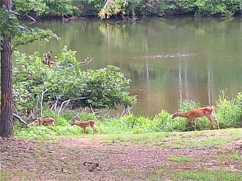 Image 33 of a home in .