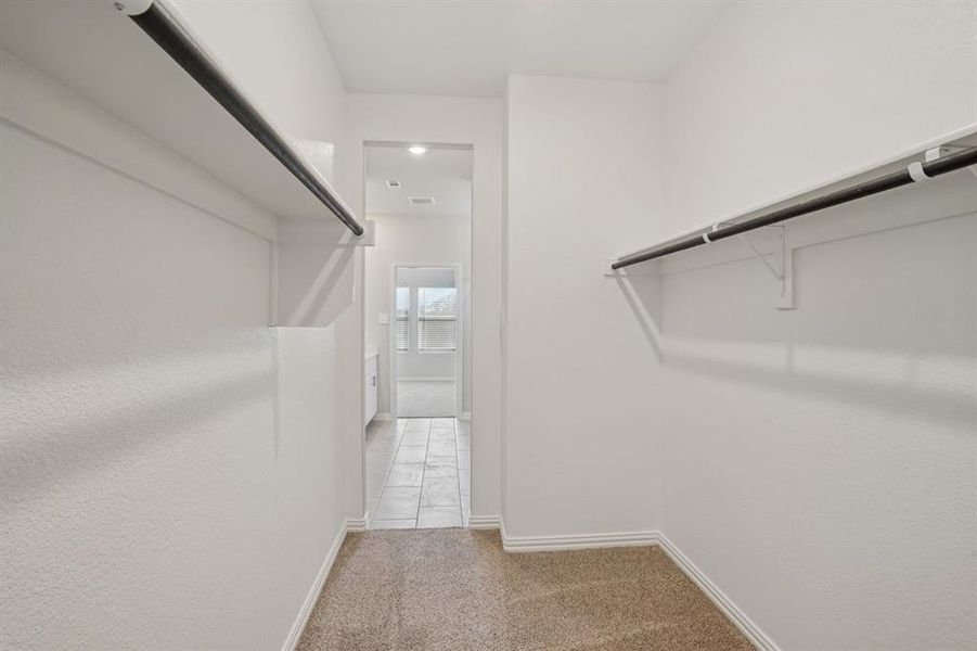 Spacious closet featuring light colored carpet