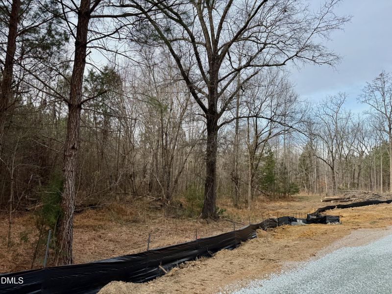 Road Frontage of Lot D