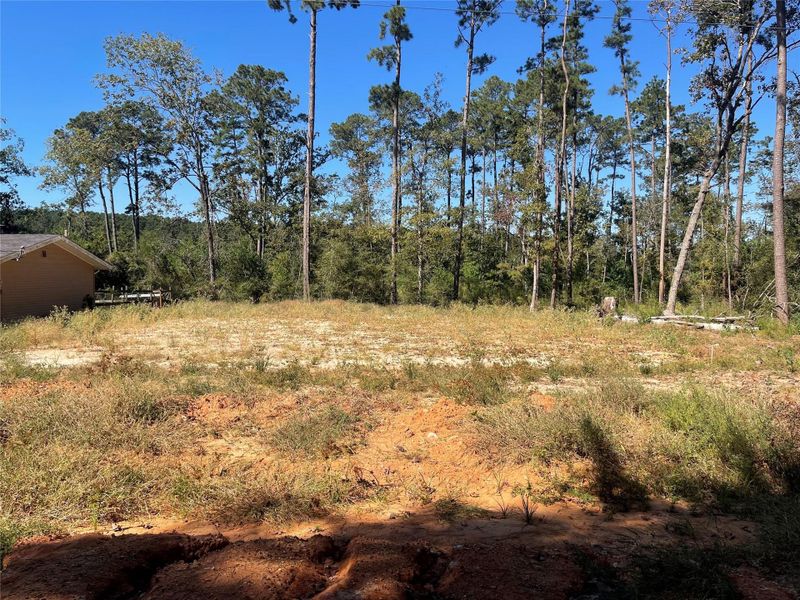 Natural landscape and outdoor views near  in Willis (Image 18).