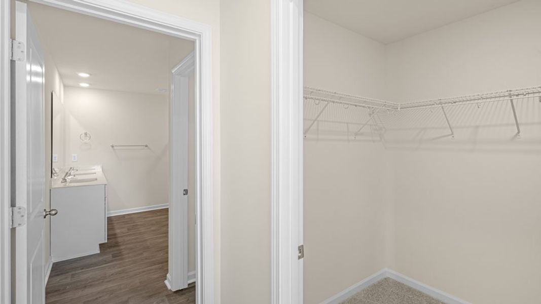 Spacious, unfurnished interior of a new home in Waverly Place, Linwood (Image 26).