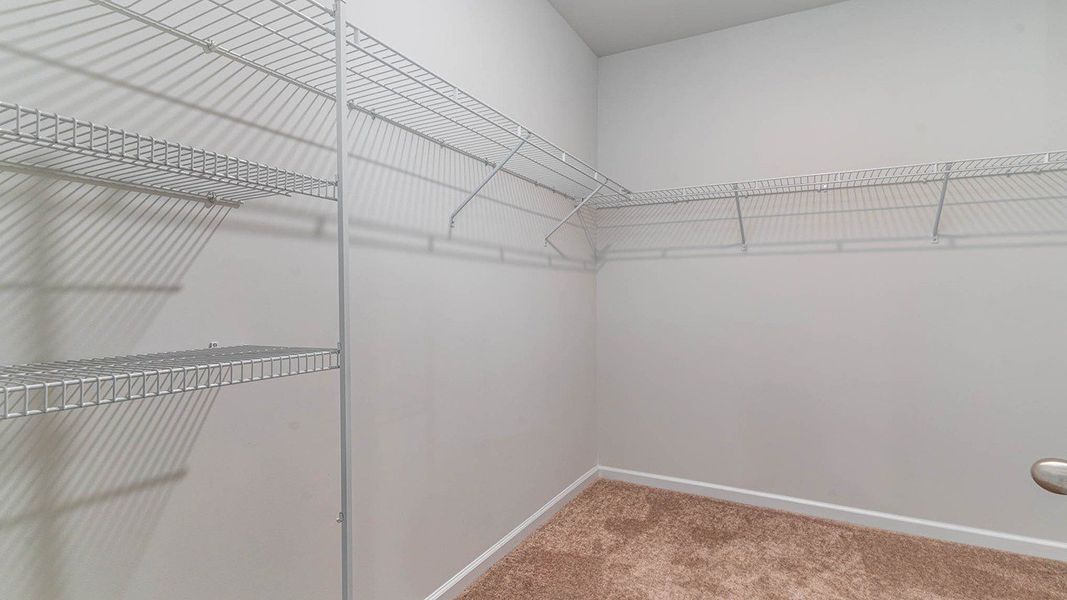 Image 30 representing the CALI by D.R. Horton in Harper Meadows, Loris, SC.