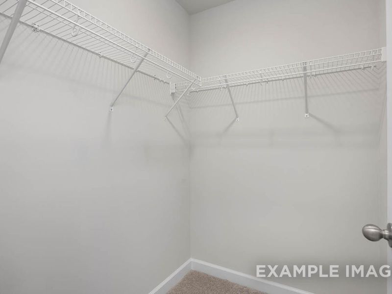 Spacious, unfurnished interior of a new home in Gregory Village, Lillington (Image 25).