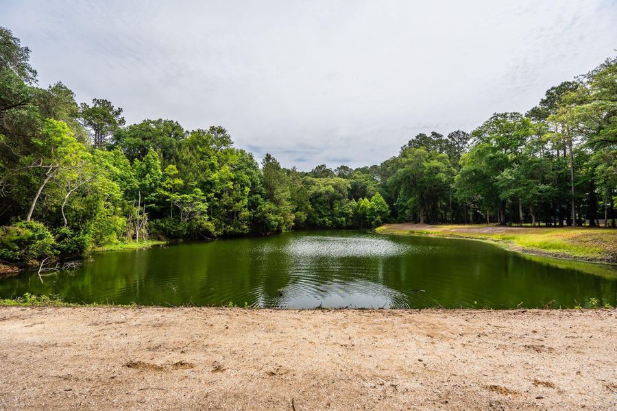 Natural landscape and outdoor views near  in Johns Island (Image 117).