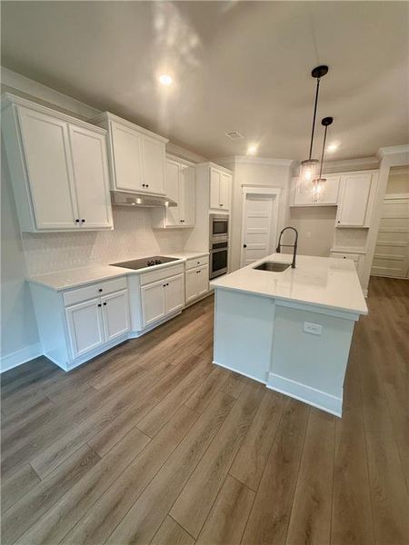 Furnished interior view inside a new home in Fowler Farms, Auburn (Image 3).