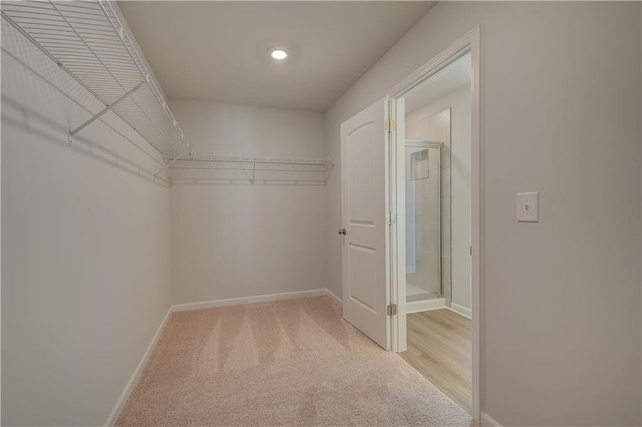 Spacious, unfurnished interior of a new home in Westminster, Covington (Image 11).