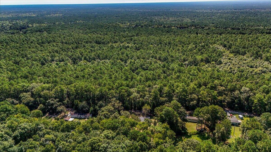 Natural landscape and outdoor views near  in Cordesville (Image 36).