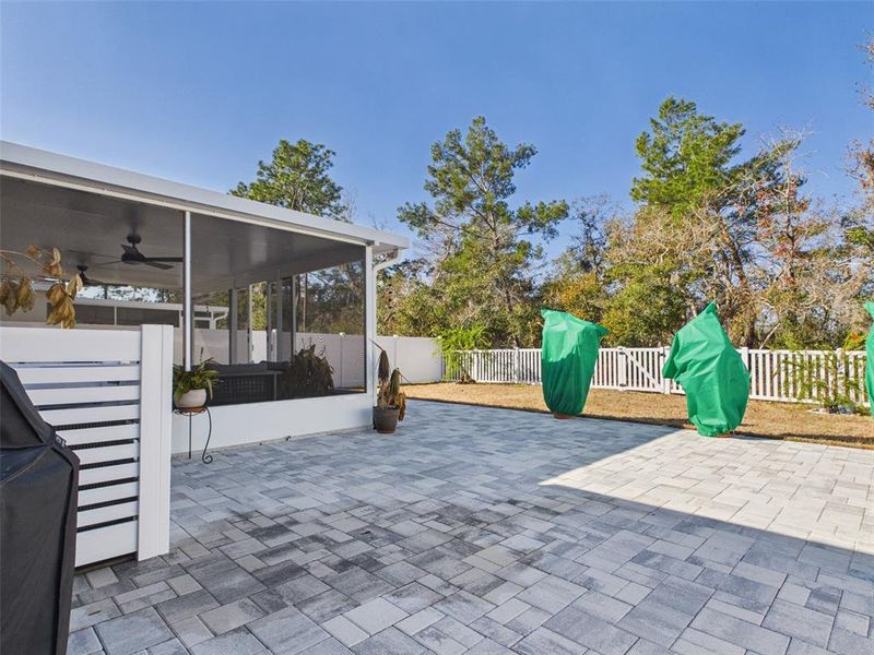 Exterior details and patio area of a home in Vineland Reserve, Osteen (Image 27).