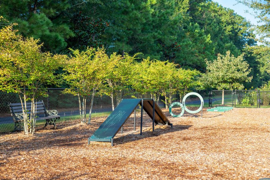 Community amenities in Carnes Crossroads, Summerville (Image 61).