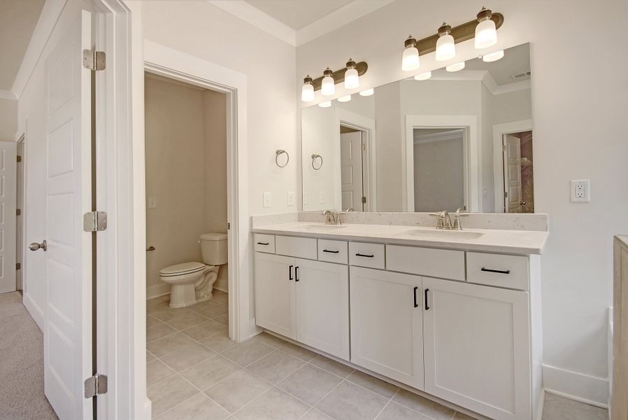 Reedy Master Bathroom