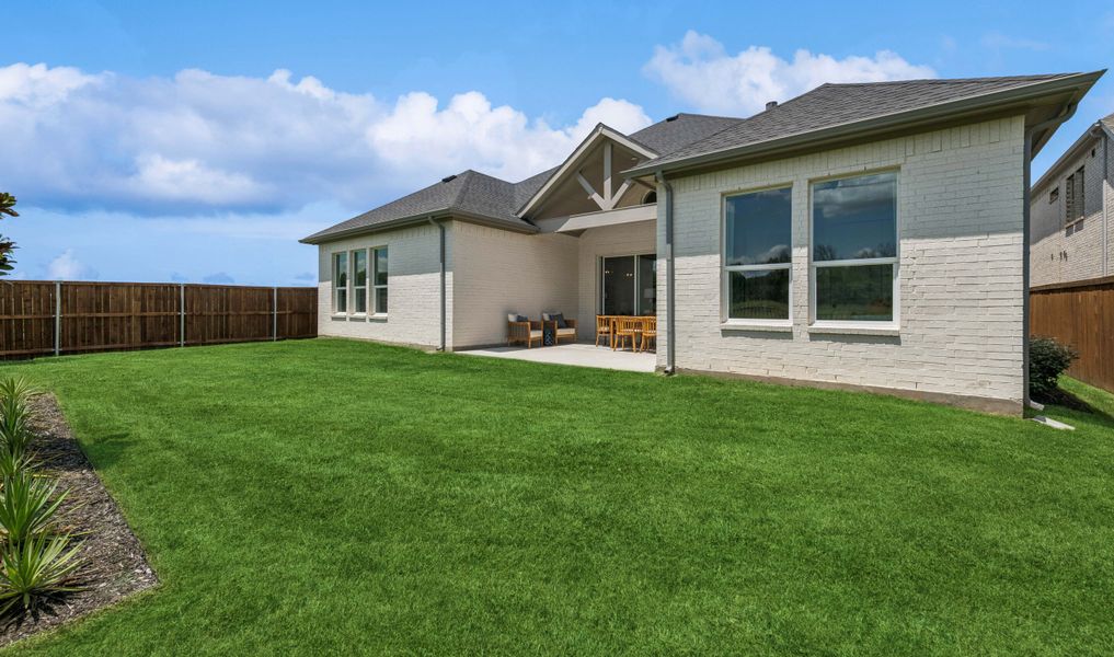 Backyard Backyard