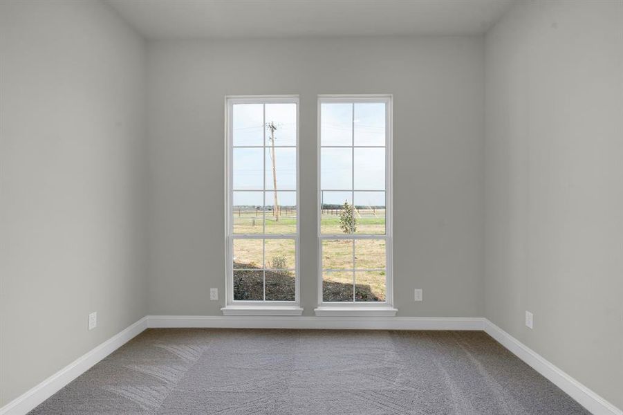 View of carpeted spare room