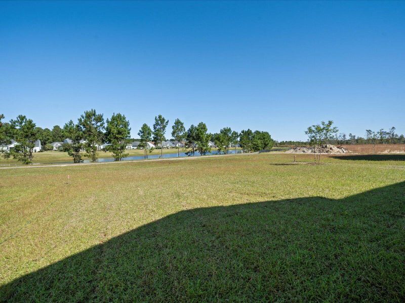 Natural landscape and outdoor views near The Coves at Lakes of Cane Bay in Summerville (Image 42).