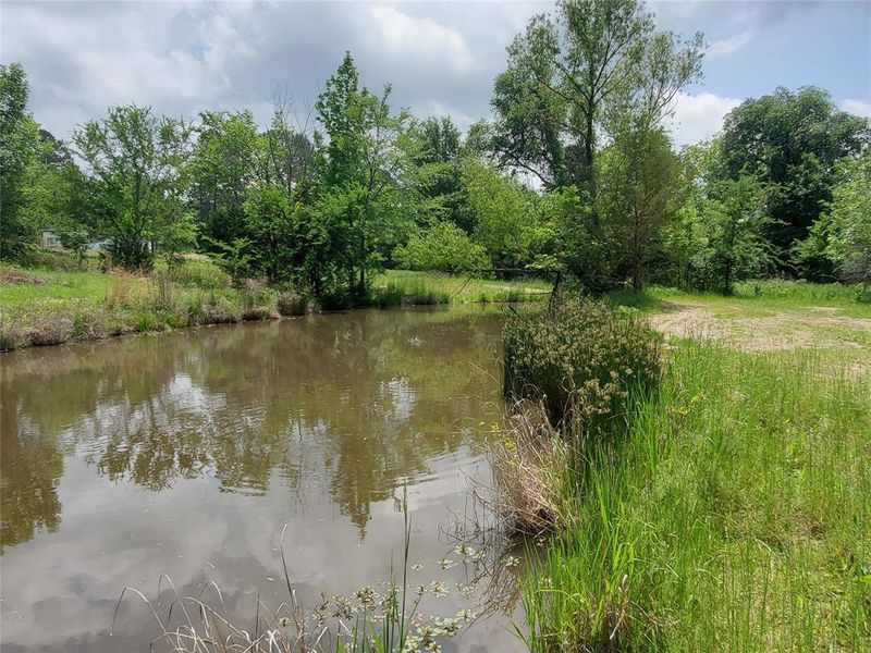 Natural landscape and outdoor views near  in Emory (Image 39).
