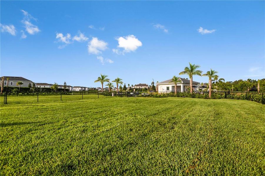 Natural landscape and outdoor views near Skye Ranch Community Group Page in Sarasota (Image 58).