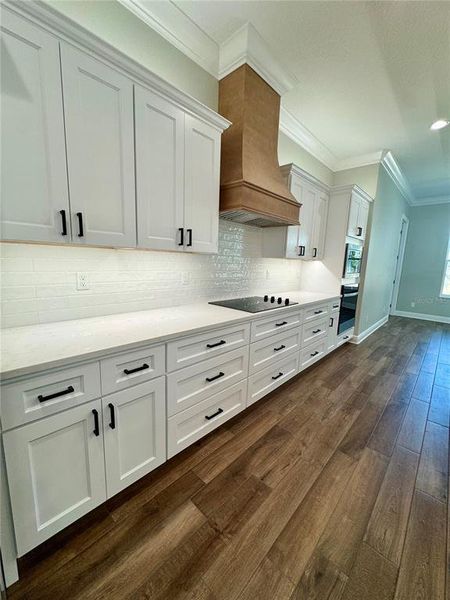 Furnished interior view inside a new home in , Dunnellon (Image 8). Furnished interior view inside a new home in , Dunnellon (Image 8).