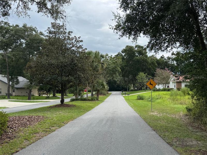 Rainbow Springs County Club!