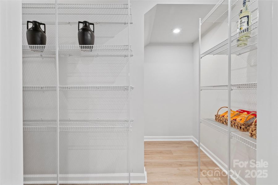Large walk-in pantry with so much extra storage space.