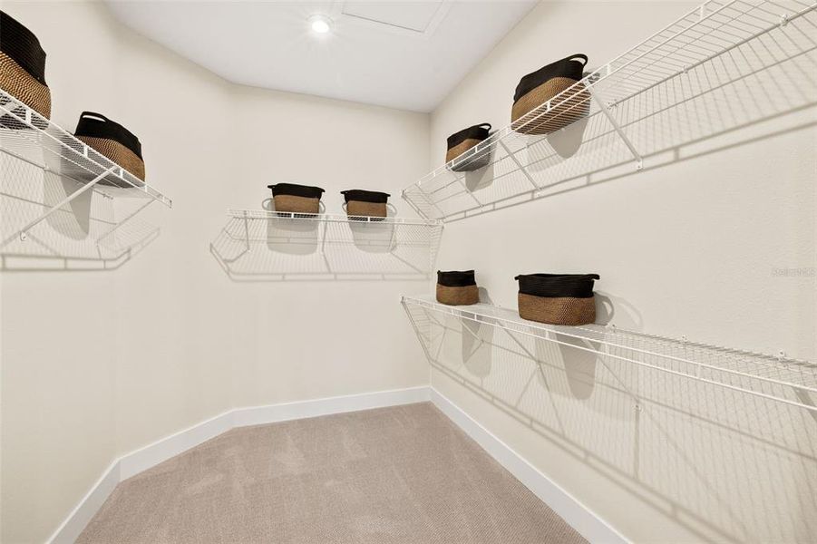 Model Owner's Closet Model Owner's Closet