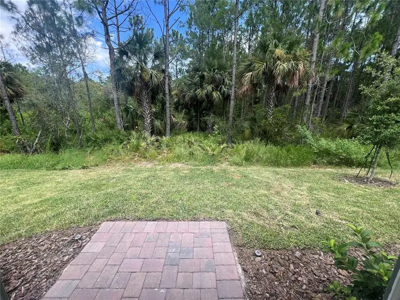 View of the back yard