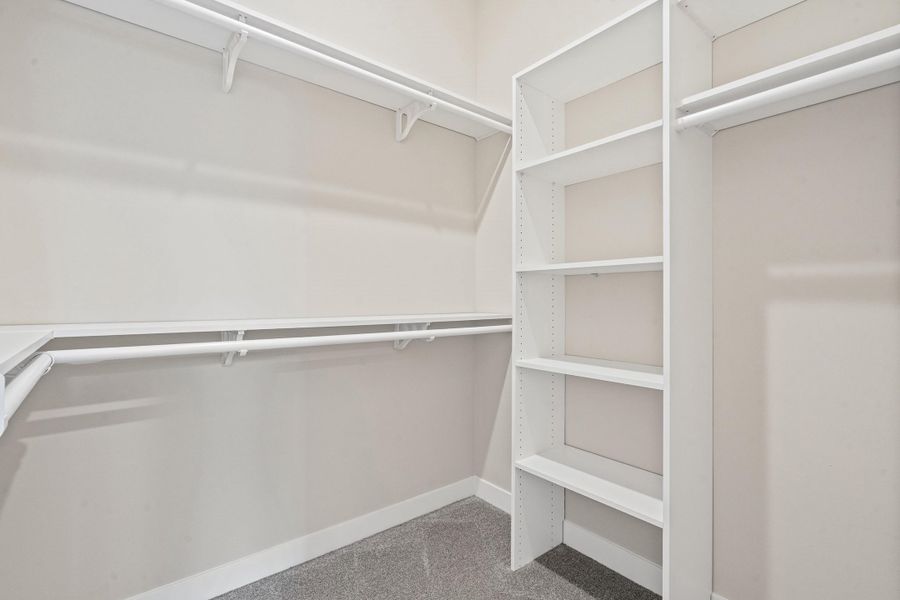 Walk in closet with carpet