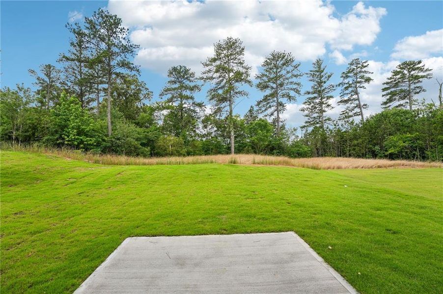 Natural landscape and outdoor views near Manning Mill in Adairsville (Image 52). Natural landscape and outdoor views near Manning Mill in Adairsville (Image 52).
