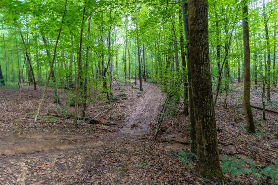 Natural landscape and outdoor views near in Monticello (Image 18). Natural landscape and outdoor views near in Monticello (Image 18).
