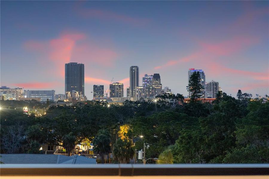 Exterior details and patio area of a home in , St. Petersburg (Image 21). Exterior details and patio area of a home in , St. Petersburg (Image 21).