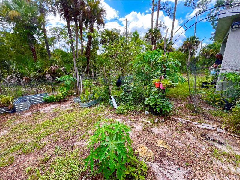 Natural landscape and outdoor views near  in Labelle (Image 21).