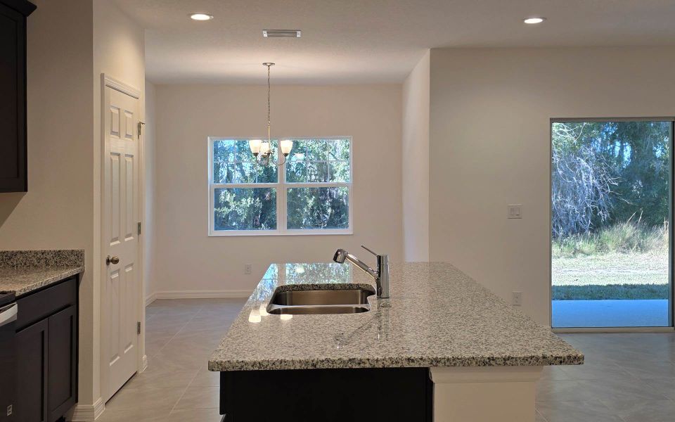 Close-up of interior finishes inside a home in Blue Springs Reserve Townhomes, Groveland (Image 8). Close-up of interior finishes inside a home in Blue Springs Reserve Townhomes, Groveland (Image 8).